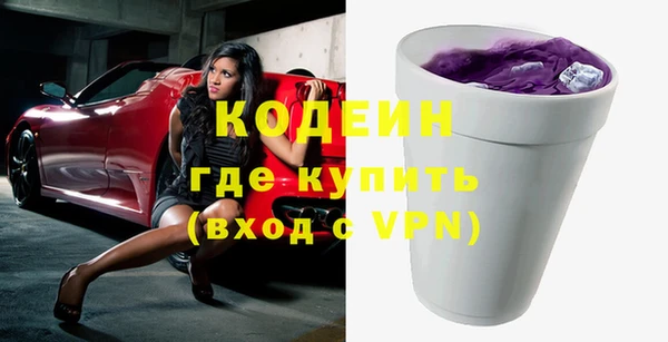 ГАЛЛЮЦИНОГЕННЫЕ ГРИБЫ Михайлов