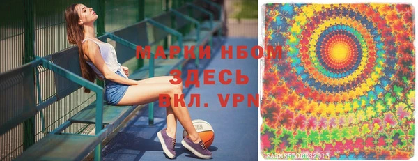 ГАЛЛЮЦИНОГЕННЫЕ ГРИБЫ Михайлов