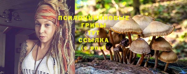 ALPHA PVP Михайловка