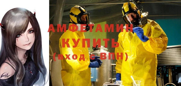 ГАЛЛЮЦИНОГЕННЫЕ ГРИБЫ Михайлов