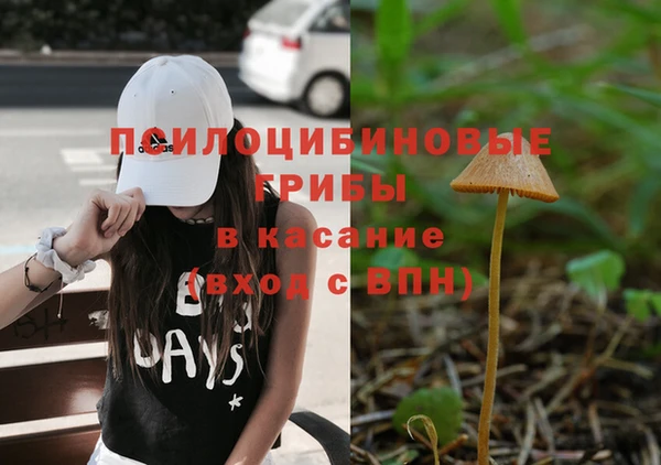 ГАЛЛЮЦИНОГЕННЫЕ ГРИБЫ Михайлов