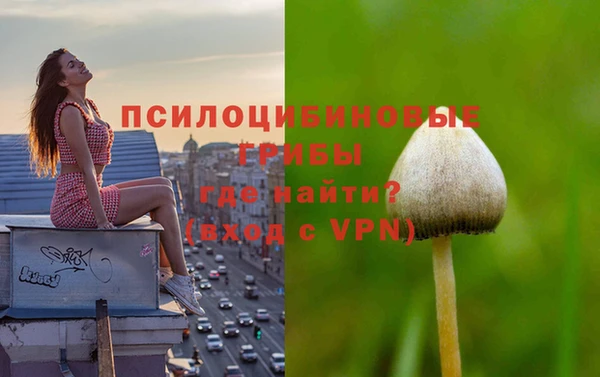 MESCALINE Михайловск
