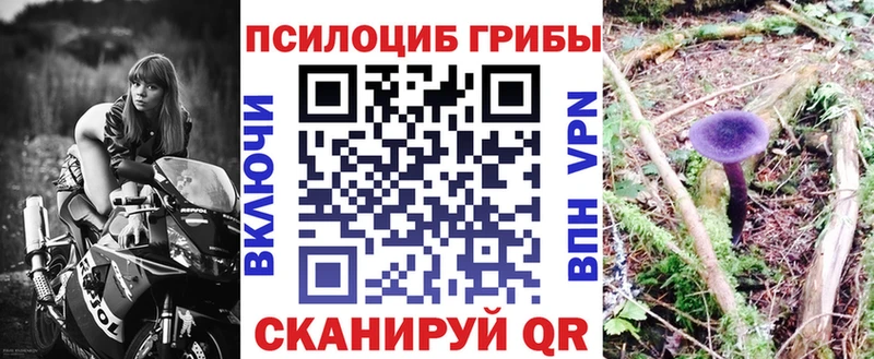 Галлюциногенные грибы мицелий  Хадыженск 