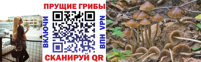 Галлюциногенные грибы Magic Shrooms Хадыженск